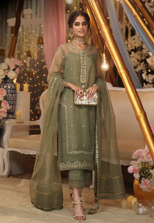 Asim Jofa Organza Dress