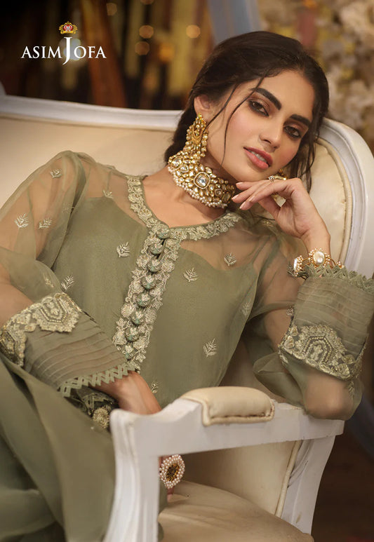 Asim Jofa Organza Dress