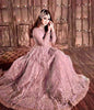 Hira Mani Net Frock