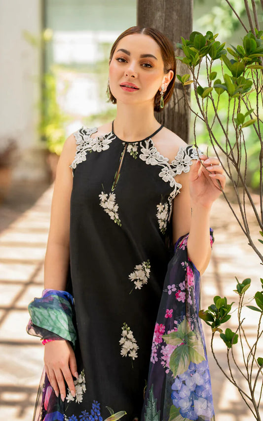 Asifa Nabeel 3Pcs Embroidered Lawn Dress