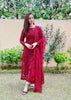 Maryam Hussain Red Net Dress